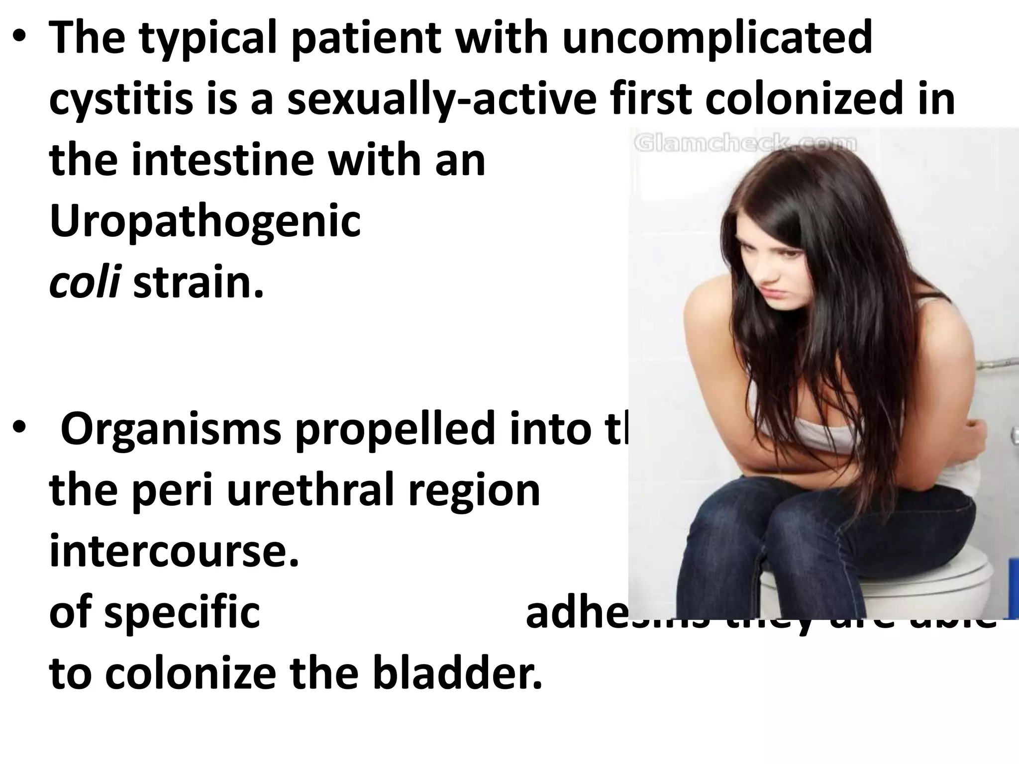 • The typical patient with uncomplicated
cystitis is a sexually-active first colonized in
the intestine with an
Uropathogenic E.
coli strain.
• Organisms propelled into the bladder from
the peri urethral region during sexual
intercourse. With the aid
of specific adhesins they are able
to colonize the bladder.
 