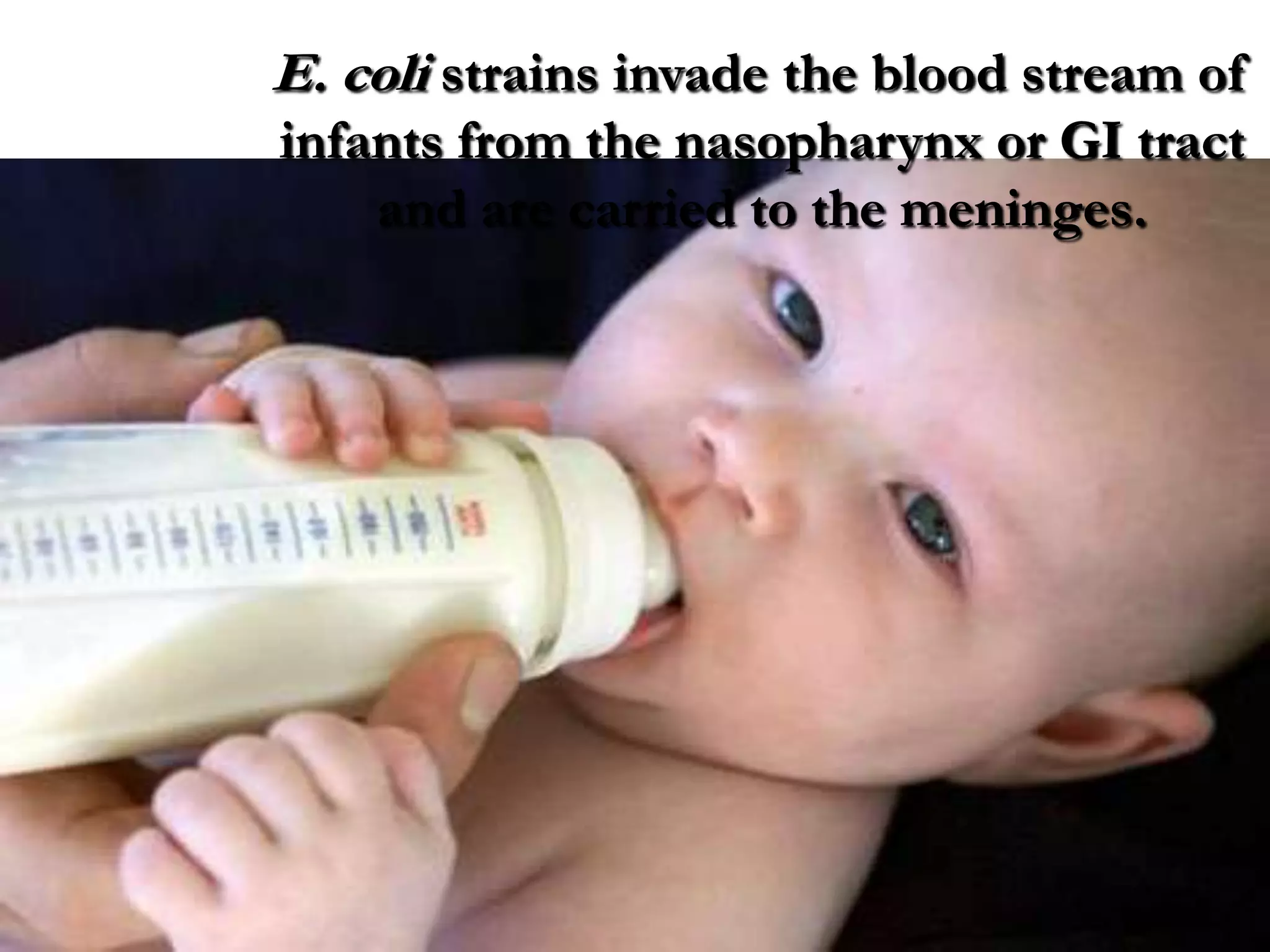 E. coli strains invade the blood stream of
infants from the nasopharynx or GI tract
and are carried to the meninges.
 