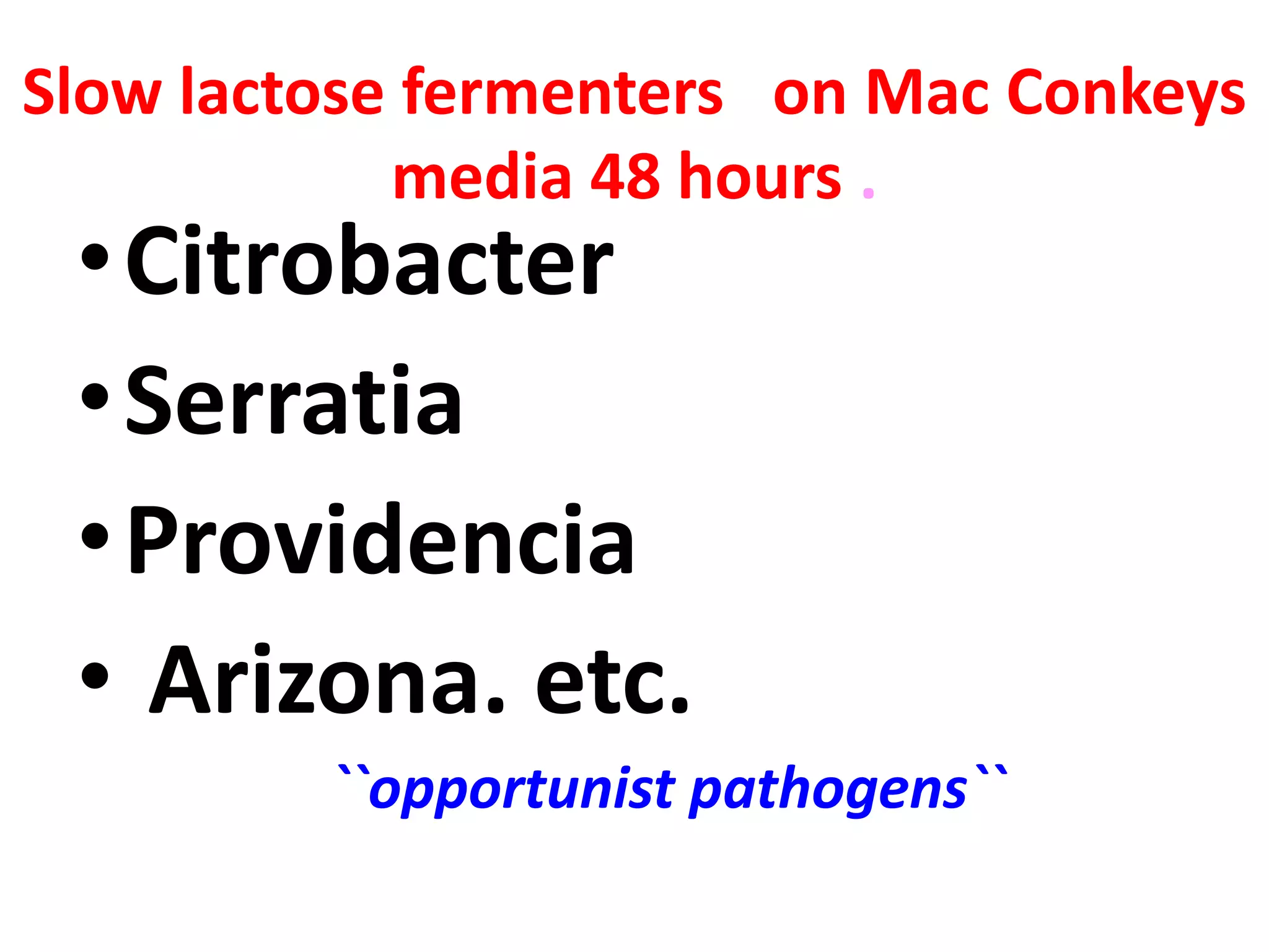 Slow lactose fermenters on Mac Conkeys
media 48 hours .
•Citrobacter
•Serratia
•Providencia
• Arizona. etc.
``opportunist pathogens``
 