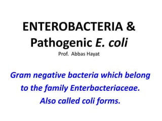 ENTEROBACTERIA &
Pathogenic E. coli
Prof. Abbas Hayat
Gram negative bacteria which belong
to the family Enterbacteriaceae.
Also called coli forms.
 