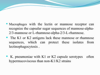 Alpha D Rhamose ENTEROBACTER AND PROTEOUS bacterial.pptx