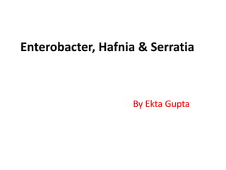 Enterobacter, Hafnia & Serratia
By Ekta Gupta
 