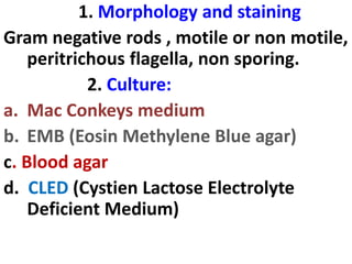 1. Morphology and staining
Gram negative rods , motile or non motile,
peritrichous flagella, non sporing.
2. Culture:
a. Mac Conkeys medium
b. EMB (Eosin Methylene Blue agar)
c. Blood agar
d. CLED (Cystien Lactose Electrolyte
Deficient Medium)
 