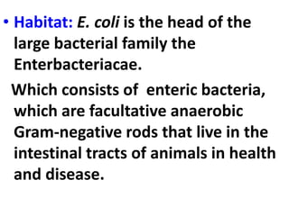 • Habitat: E. coli is the head of the
large bacterial family the
Enterbacteriacae.
Which consists of enteric bacteria,
which are facultative anaerobic
Gram-negative rods that live in the
intestinal tracts of animals in health
and disease.
 