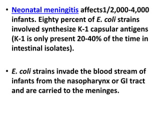 • Neonatal meningitis affects1/2,000-4,000
infants. Eighty percent of E. coli strains
involved synthesize K-1 capsular antigens
(K-1 is only present 20-40% of the time in
intestinal isolates).
• E. coli strains invade the blood stream of
infants from the nasopharynx or GI tract
and are carried to the meninges.
 