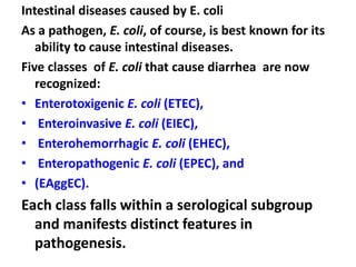 Intestinal diseases caused by E. coli
As a pathogen, E. coli, of course, is best known for its
ability to cause intestinal diseases.
Five classes of E. coli that cause diarrhea are now
recognized:
• Enterotoxigenic E. coli (ETEC),
• Enteroinvasive E. coli (EIEC),
• Enterohemorrhagic E. coli (EHEC),
• Enteropathogenic E. coli (EPEC), and
• (EAggEC).
Each class falls within a serological subgroup
and manifests distinct features in
pathogenesis.
 