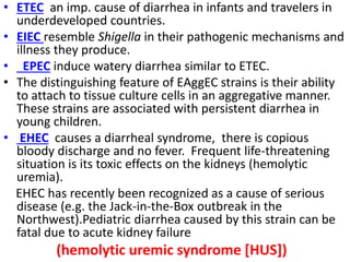 • ETEC an imp. cause of diarrhea in infants and travelers in
underdeveloped countries.
• EIEC resemble Shigella in their pathogenic mechanisms and
illness they produce.
• EPEC induce watery diarrhea similar to ETEC.
• The distinguishing feature of EAggEC strains is their ability
to attach to tissue culture cells in an aggregative manner.
These strains are associated with persistent diarrhea in
young children.
• EHEC causes a diarrheal syndrome, there is copious
bloody discharge and no fever. Frequent life-threatening
situation is its toxic effects on the kidneys (hemolytic
uremia).
EHEC has recently been recognized as a cause of serious
disease (e.g. the Jack-in-the-Box outbreak in the
Northwest).Pediatric diarrhea caused by this strain can be
fatal due to acute kidney failure
(hemolytic uremic syndrome [HUS])
 