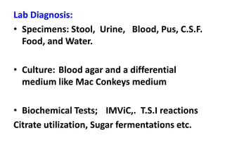 Lab Diagnosis:
• Specimens: Stool, Urine, Blood, Pus, C.S.F.
Food, and Water.
• Culture: Blood agar and a differential
medium like Mac Conkeys medium
• Biochemical Tests; IMViC,. T.S.I reactions
Citrate utilization, Sugar fermentations etc.
 