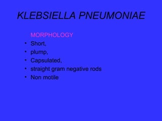 Enterobacteriacaefdggscgjkrehiteeuioh.ppt