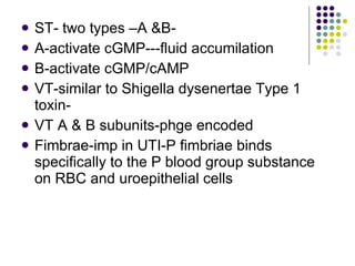 ST- two types –A &B- A-activate cGMP---fluid accumilation B-activate cGMP/cAMP VT-similar to Shigella dysenertae Type 1 toxin- VT A & B subunits-phge encoded Fimbrae-imp in UTI-P fimbriae binds specifically to the P blood group substance on RBC and uroepithelial cells 
