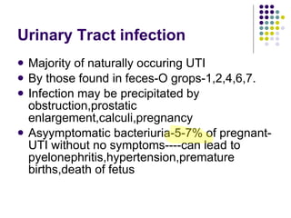 Urinary Tract infection Majority of naturally occuring UTI By those found in feces-O grops-1,2,4,6,7. Infection may be precipitated by obstruction,prostatic enlargement,calculi,pregnancy Asyymptomatic bacteriuria-5-7% of pregnant-UTI without no symptoms----can lead to pyelonephritis,hypertension,premature births,death of fetus 