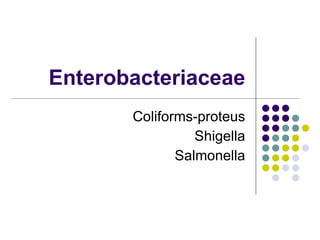 Enterobacteriaceae Coliforms-proteus Shigella Salmonella 