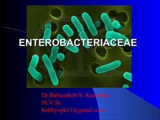 Dr.Babasaheb N. Kumbhar
M.V.Sc
bobbyvph11@gmail.com
ENTEROBACTERIACEAEENTEROBACTERIACEAE
 