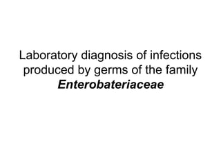 Enterobacteriaceae | PPT
