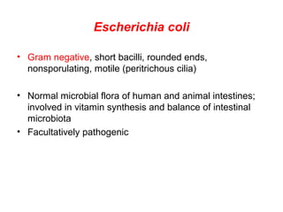Escherichia coli
• Gram negative, short bacilli, rounded ends,
nonsporulating, motile (peritrichous cilia)
• Normal microbial flora of human and animal intestines;
involved in vitamin synthesis and balance of intestinal
microbiota
• Facultatively pathogenic
 