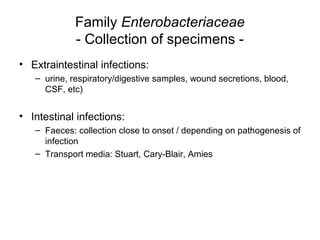 Family Enterobacteriaceae
- Collection of specimens -
• Extraintestinal infections:
– urine, respiratory/digestive samples, wound secretions, blood,
CSF, etc)
• Intestinal infections:
– Faeces: collection close to onset / depending on pathogenesis of
infection
– Transport media: Stuart, Cary-Blair, Amies
 
