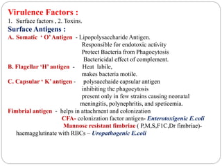 Virulence Factors :
1. Surface factors , 2. Toxins.
Surface Antigens :
A. Somatic ‘ O’Antigen - Lipopolysaccharide Antigen.
Responsible for endotoxic activity
Protect Bacteria from Phagocytosis
Bactericidal effect of complement.
B. Flagellar ‘H’ antigen - Heat labile,
makes bacteria motile.
C. Capsular ‘ K’ antigen - polysacchaide capsular antigen
inhibiting the phagocytosis
present only in few strains causing neonatal
meningitis, polynephritis, and speticemia.
Fimbrial antigen - helps in attachment and colonization
CFA- colonization factor antigen- Enterotoxigenic E.coli
Mannose resistant fimbriae ( P,M,S,F1C,Dr fimbriae)-
haemagglutinate with RBCs – Uropathogenic E.coli
 