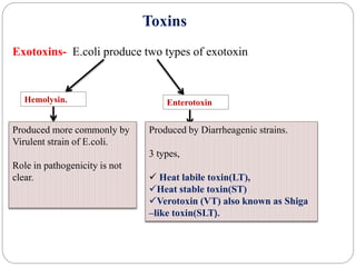 Toxins
Exotoxins- E.coli produce two types of exotoxin
Hemolysin. Enterotoxin
Produced more commonly by
Virulent strain of E.coli.
Role in pathogenicity is not
clear.
Produced by Diarrheagenic strains.
3 types,
 Heat labile toxin(LT),
Heat stable toxin(ST)
Verotoxin (VT) also known as Shiga
–like toxin(SLT).
 