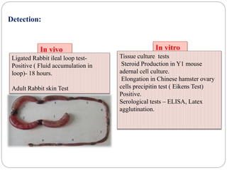 Detection:
In vivo In vitro
Ligated Rabbit ileal loop test-
Positive ( Fluid accumulation in
loop)- 18 hours.
Adult Rabbit skin Test
Tissue culture tests
Steroid Production in Y1 mouse
adernal cell culture.
Elongation in Chinese hamster ovary
cells precipitin test ( Eikens Test)
Positive.
Serological tests – ELISA, Latex
agglutination.
 