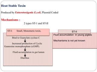 Heat Stable Toxin
Produced by Enterotoxigenic E.coli, Plasmid Coded
Mechanisms :
2 types ST-1 and ST-II
Bind to Guanylate cyclase C
Increased production of Cyclic
Guanosine monophosphate (cGMP).
Fluid accumulation in gut lumen
Diarrhea
ST-I: Small, Monomeric toxin,
Fluid accumulation in young piglets
Mechanisms is not yet known
ST-II
 