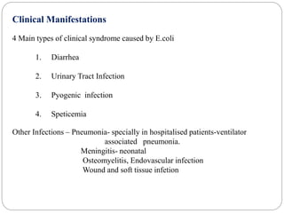 Clinical Manifestations
4 Main types of clinical syndrome caused by E.coli
1. Diarrhea
2. Urinary Tract Infection
3. Pyogenic infection
4. Speticemia
Other Infections – Pneumonia- specially in hospitalised patients-ventilator
associated pneumonia.
Meningitis- neonatal
Osteomyelitis, Endovascular infection
Wound and soft tissue infetion
 