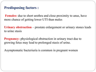Predisposing factors :
Females- due to short urethra and close proximity to anus, have
more chance of getting lower UTI than males
Urinary obstruction – prostate enlargement or urinary stones leads
to urine stasis
Pregnancy- physiological obstruction in urinary tract due to
growing fetus may lead to prolonged stasis of urine.
Asymptomatic bacteriuria is common in pregnant women
 