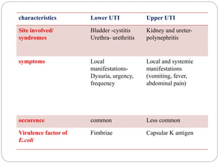 characteristics Lower UTI Upper UTI
Site involved/
syndromes
Bladder -cystitis
Urethra- urethritis
Kidney and ureter-
polynephritis
symptoms Local
manifestations-
Dysuria, urgency,
frequency
Local and systemic
manifestations
(vomiting, fever,
abdominal pain)
occurence common Less common
Virulence factor of
E.coli
Fimbriae Capsular K antigen
 