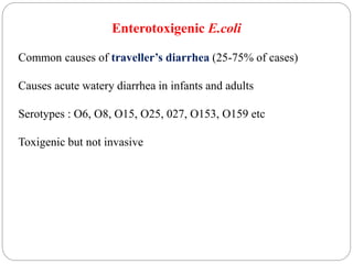 Enterotoxigenic E.coli
Common causes of traveller’s diarrhea (25-75% of cases)
Causes acute watery diarrhea in infants and adults
Serotypes : O6, O8, O15, O25, 027, O153, O159 etc
Toxigenic but not invasive
 