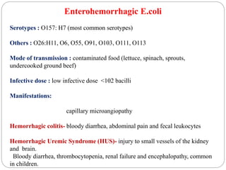 Enterohemorrhagic E.coli
Serotypes : O157: H7 (most common serotypes)
Others : O26:H11, O6, O55, O91, O103, O111, O113
Mode of transmission : contaminated food (lettuce, spinach, sprouts,
undercooked ground beef)
Infective dose : low infective dose <102 bacilli
Manifestations:
capillary microangiopathy
Hemorrhagic colitis- bloody diarrhea, abdominal pain and fecal leukocytes
Hemorrhagic Uremic Syndrome (HUS)- injury to small vessels of the kidney
and brain.
Bloody diarrhea, thrombocytopenia, renal failure and encephalopathy, common
in children.
 