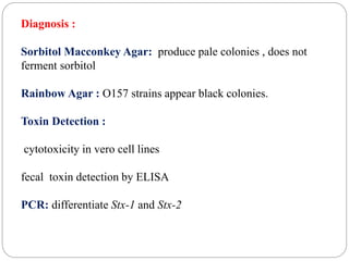 Diagnosis :
Sorbitol Macconkey Agar: produce pale colonies , does not
ferment sorbitol
Rainbow Agar : O157 strains appear black colonies.
Toxin Detection :
cytotoxicity in vero cell lines
fecal toxin detection by ELISA
PCR: differentiate Stx-1 and Stx-2
 
