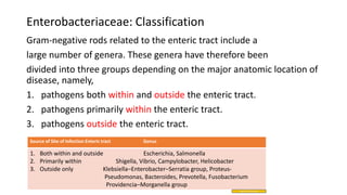 Enterobacteriaceae.pptx