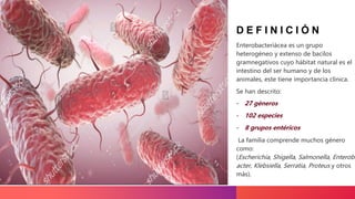 D E F I N I C I Ó N
Enterobacteriácea es un grupo
heterogéneo y extenso de bacilos
gramnegativos cuyo hábitat natural es e...