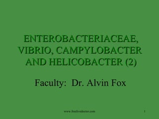Faculty:  Dr. Alvin Fox ENTEROBACTERIACEAE,  VIBRIO, CAMPYLOBACTER  AND HELICOBACTER (2) www.freelivedoctor.com 