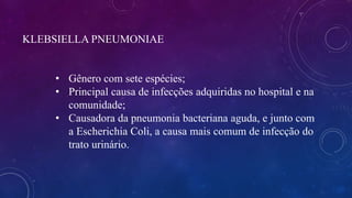 KLEBSIELLA PNEUMONIAE
• Gênero com sete espécies;
• Principal causa de infecções adquiridas no hospital e na
comunidade;
• Causadora da pneumonia bacteriana aguda, e junto com
a Escherichia Coli, a causa mais comum de infecção do
trato urinário.
 