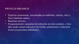 PROTEUS MIRABILIS
• Espécies comumente encontradas no ambiente, esterco, solo e
fezes humanas sadios;
• Bactérias móveis;
• Frequentemente causadora de infecções no trato urinário, e fora
dele, pode causar infecções em feridas, pneumonia e infecções
focais em pacientes debilitados.
 