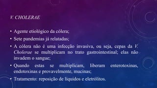 V. CHOLERAE
• Agente etiológico da cólera;
• Sete pandemias já relatadas;
• A cólera não é uma infecção invasiva, ou seja, cepas da V.
Cholerae se multiplicam no trato gastrointestinal; elas não
invadem o sangue;
• Quando estas se multiplicam, liberam enterotoxinas,
endotoxinas e provavelmente, mucinas;
• Tratamento: reposição de líquidos e eletrólitos.
 