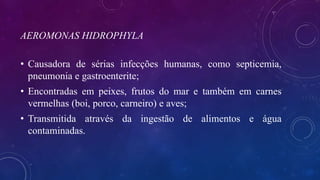 AEROMONAS HIDROPHYLA
• Causadora de sérias infecções humanas, como septicemia,
pneumonia e gastroenterite;
• Encontradas em peixes, frutos do mar e também em carnes
vermelhas (boi, porco, carneiro) e aves;
• Transmitida através da ingestão de alimentos e água
contaminadas.
 