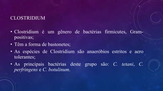 CLOSTRIDIUM
• Clostridium é um gênero de bactérias firmicutes, Gram-
positivas;
• Têm a forma de bastonetes;
• As espécies de Clostridium são anaeróbios estritos e aero
tolerantes;
• As principais bactérias deste grupo são: C. tetani, C.
perfringens e C. botulinum.
 