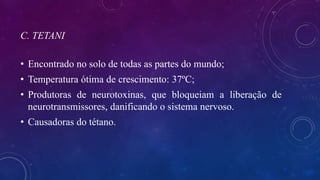 C. TETANI
• Encontrado no solo de todas as partes do mundo;
• Temperatura ótima de crescimento: 37ºC;
• Produtoras de neurotoxinas, que bloqueiam a liberação de
neurotransmissores, danificando o sistema nervoso.
• Causadoras do tétano.
 