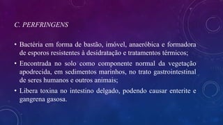 C. PERFRINGENS
• Bactéria em forma de bastão, imóvel, anaeróbica e formadora
de esporos resistentes à desidratação e tratamentos térmicos;
• Encontrada no solo como componente normal da vegetação
apodrecida, em sedimentos marinhos, no trato gastrointestinal
de seres humanos e outros animais;
• Libera toxina no intestino delgado, podendo causar enterite e
gangrena gasosa.
 