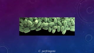 C. perfringens
 