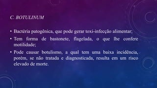 C. BOTULINUM
• Bactéria patogênica, que pode gerar toxi-infecção alimentar;
• Tem forma de bastonete, flagelada, o que lhe confere
motilidade;
• Pode causar botulismo, a qual tem uma baixa incidência,
porém, se não tratada e diagnosticada, resulta em um risco
elevado de morte.
 