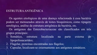 ESTRUTURAANTIGÊNICA
Os agentes etiológicos de uma doença relacionada à essa bactéria
podem ser mensurados através de testes bioquímicos, como tipagem
sorológica, análise da estrutura antigênica da bactéria, etc.
Os antígenos das Enterobacteriaceae são classificados em três
grupos principais:
1. Somático, estrutura localizada na parte externa do
lipopolissacarídeo;
2. Flagelar, proteínas encontradas nos flagelos;
3. Capsular, localizam-se externamente aos antígenos somáticos.
 