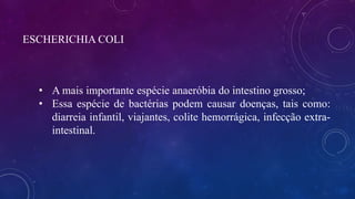 ESCHERICHIA COLI
• A mais importante espécie anaeróbia do intestino grosso;
• Essa espécie de bactérias podem causar doenças, tais como:
diarreia infantil, viajantes, colite hemorrágica, infecção extra-
intestinal.
 