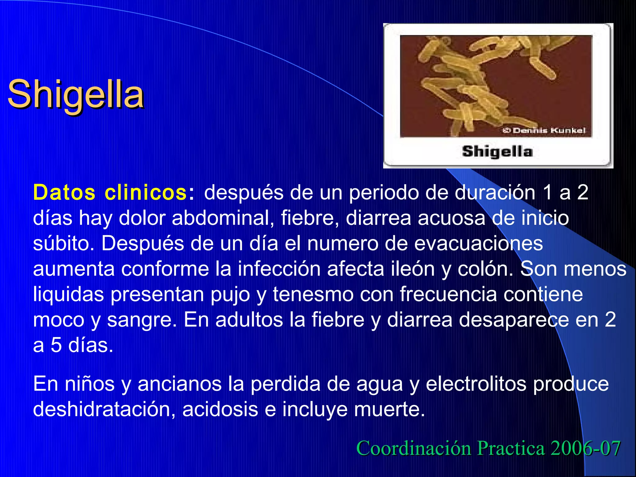 Shigella

 Datos clinicos : después de un periodo de duración 1 a 2
 días hay dolor abdominal, fiebre, diarrea acuosa de inicio
 súbito. Después de un día el numero de evacuaciones
 aumenta conforme la infección afecta ileón y colón. Son menos
 liquidas presentan pujo y tenesmo con frecuencia contiene
 moco y sangre. En adultos la fiebre y diarrea desaparece en 2
 a 5 días.
 En niños y ancianos la perdida de agua y electrolitos produce
 deshidratación, acidosis e incluye muerte.
                                   Coordinación Practica 2006-07
 