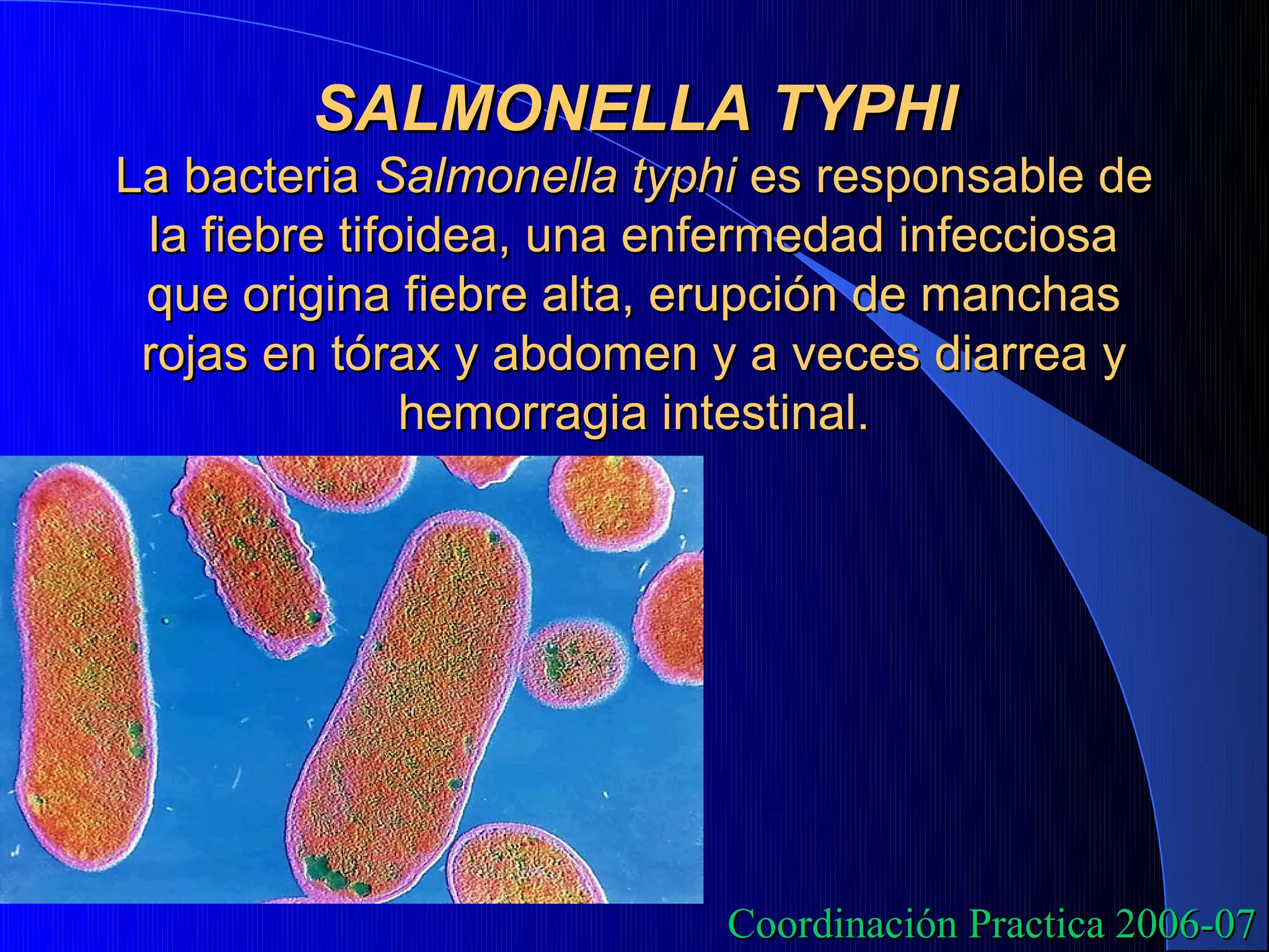 SALMONELLA TYPHI
La bacteria Salmonella typhi es responsable de
 la fiebre tifoidea, una enfermedad infecciosa
 que origina fiebre alta, erupción de manchas
 rojas en tórax y abdomen y a veces diarrea y
               hemorragia intestinal.




                           Coordinación Practica 2006-07
 