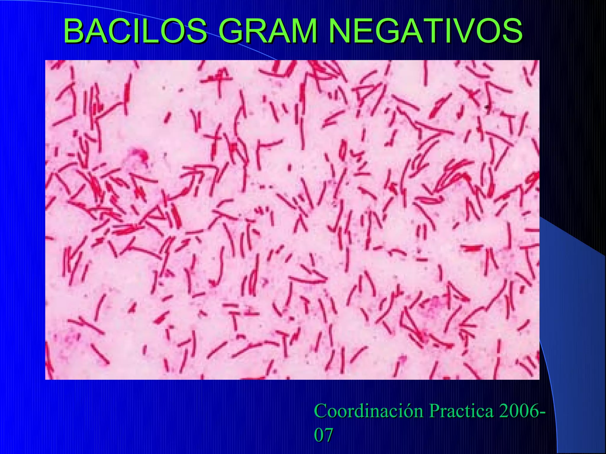 BACILOS GRAM NEGATIVOS




           Coordinación Practica 2006-
           07
 