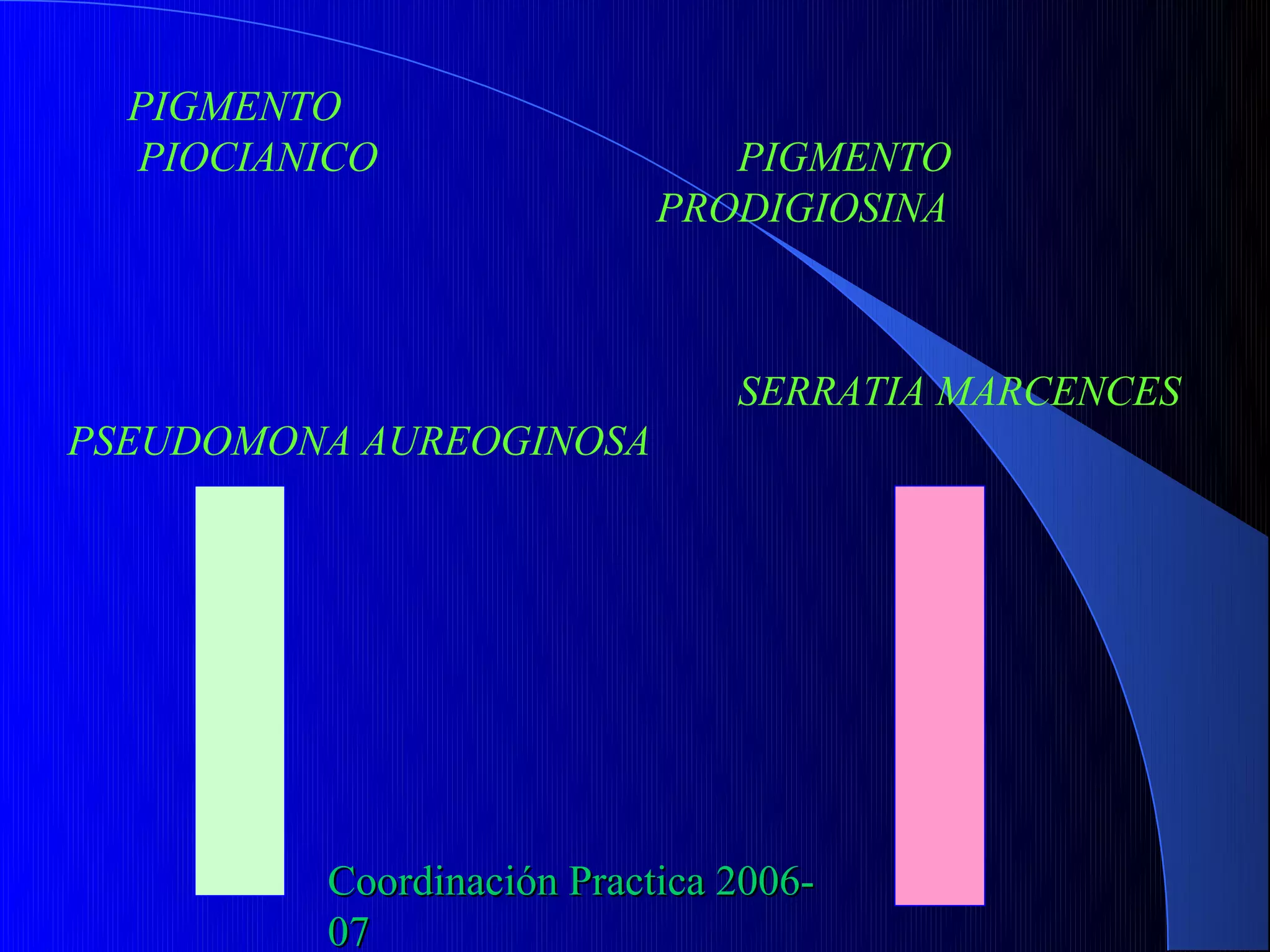 PIGMENTO
  PIOCIANICO                   PIGMENTO
                            PRODIGIOSINA



                                SERRATIA MARCENCES
PSEUDOMONA AUREOGINOSA




          Coordinación Practica 2006-
          07
 