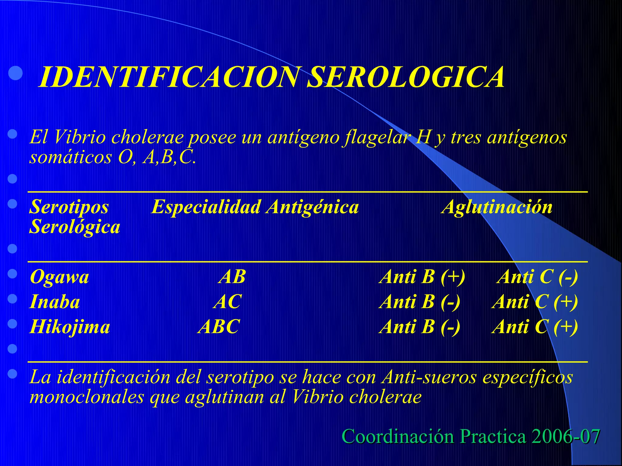     IDENTIFICACION SEROLOGICA
   El Vibrio cholerae posee un antígeno flagelar H y tres antígenos
    somáticos O, A,B,C.
   ______________________________________________________
   Serotipos      Especialidad Antigénica            Aglutinación
    Serológica
   ______________________________________________________
   Ogawa                  AB                  Anti B (+)    Anti C (-)
   Inaba                  AC                  Anti B (-) Anti C (+)
   Hikojima            ABC                    Anti B (-) Anti C (+)
   ______________________________________________________
   La identificación del serotipo se hace con Anti-sueros específicos
    monoclonales que aglutinan al Vibrio cholerae
                                         Coordinación Practica 2006-07
 