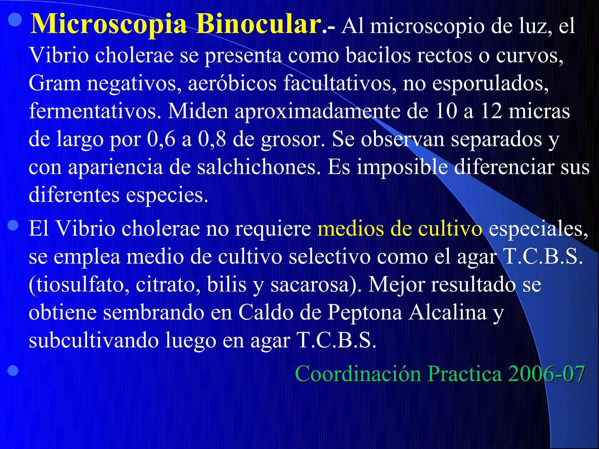 Microscopia Binocular.- Al microscopio de luz, el
  Vibrio cholerae se presenta como bacilos rectos o curvos,
  Gram negativos, aeróbicos facultativos, no esporulados,
  fermentativos. Miden aproximadamente de 10 a 12 micras
  de largo por 0,6 a 0,8 de grosor. Se observan separados y
  con apariencia de salchichones. Es imposible diferenciar sus
  diferentes especies.
 El Vibrio cholerae no requiere medios de cultivo especiales,
  se emplea medio de cultivo selectivo como el agar T.C.B.S.
  (tiosulfato, citrato, bilis y sacarosa). Mejor resultado se
  obtiene sembrando en Caldo de Peptona Alcalina y
  subcultivando luego en agar T.C.B.S.
                                  Coordinación Practica 2006-07
 